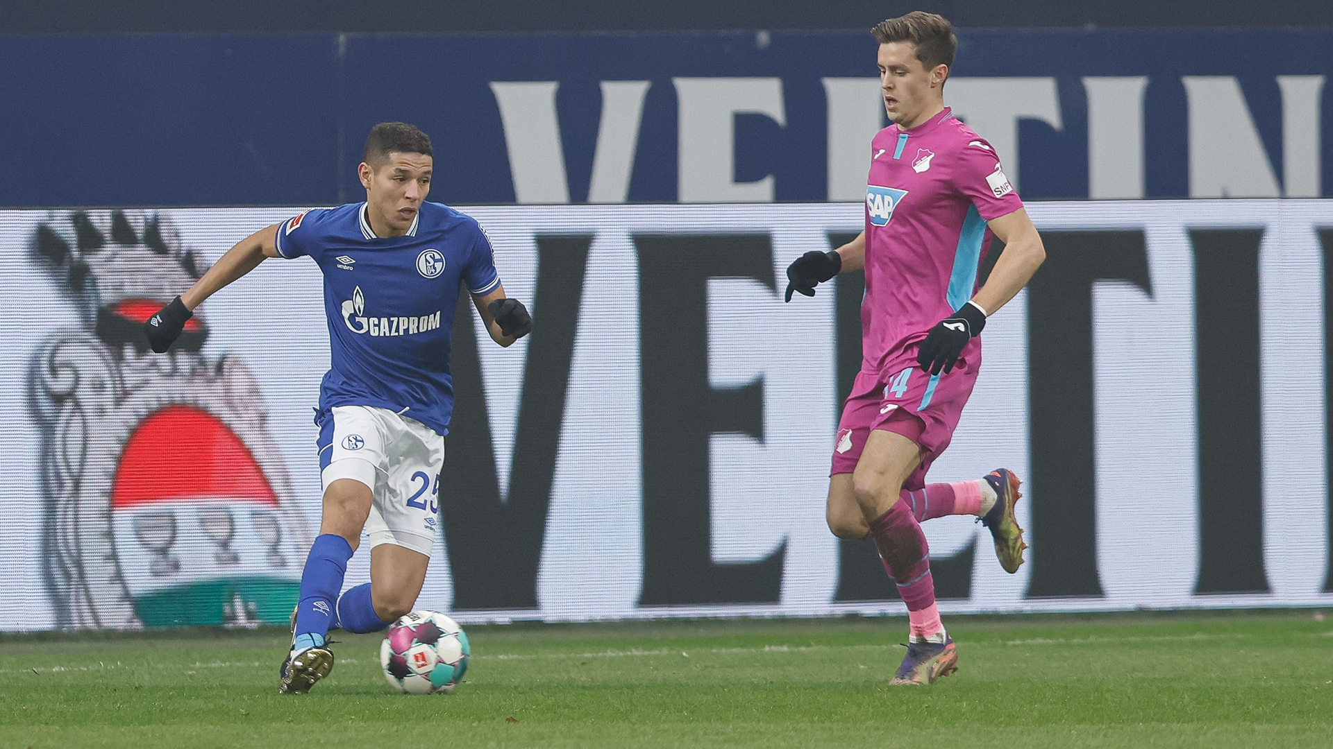 霍芬海姆遭遇连败,教练面临考验的简单介绍 霍芬海姆遭遇连败,教练面临考验的简单介绍