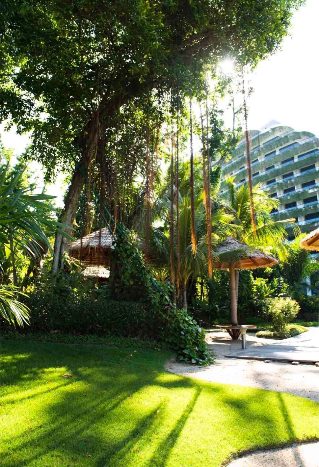 半岛体育竞技-亚特兰大市长宣布新举措力促城市绿化提升环境质量