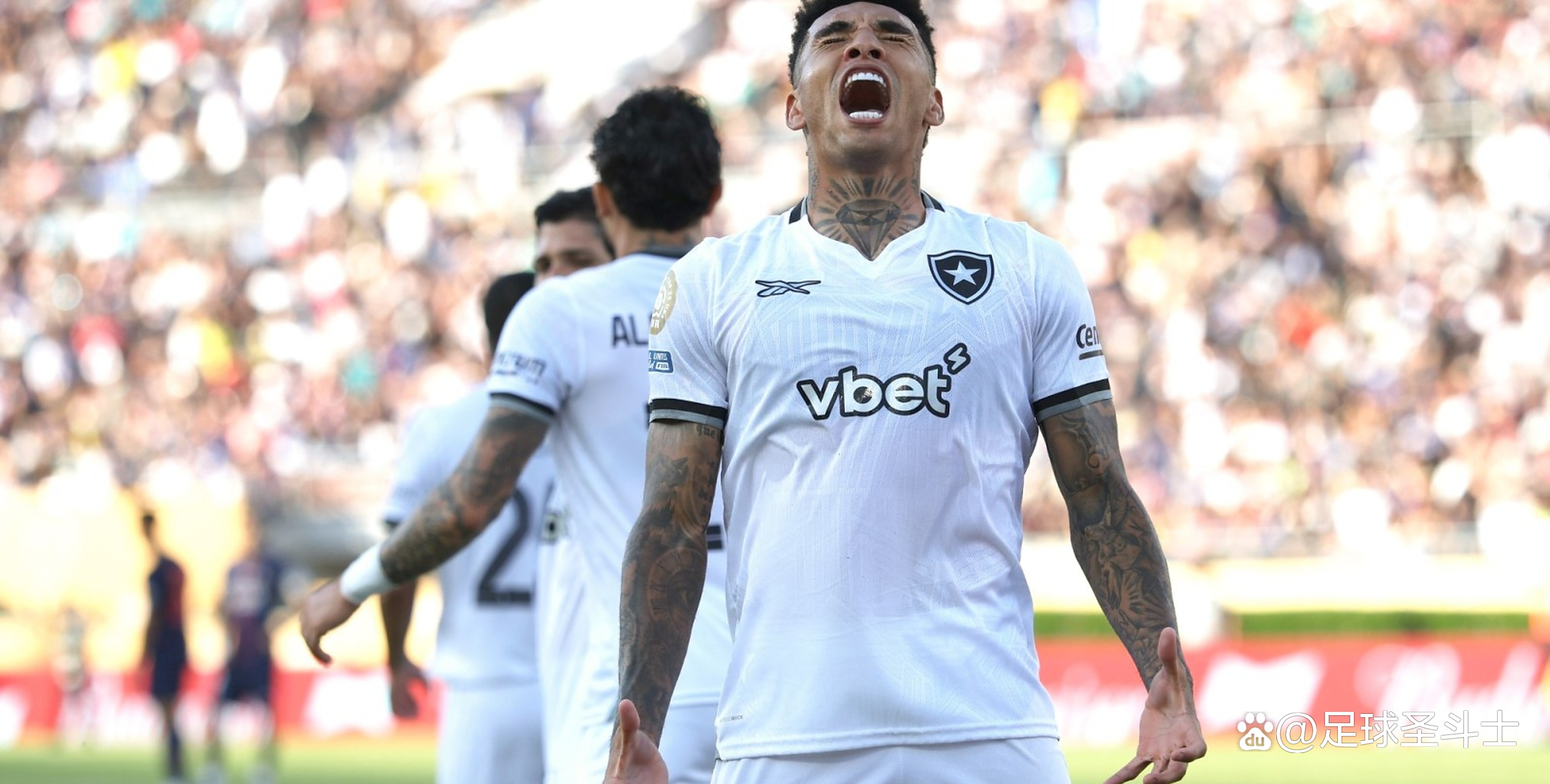 南美球员在欧洲比赛中获得冠军 南美球员在欧洲比赛中获得冠军